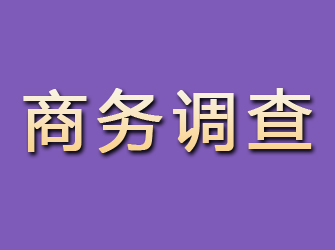 海曙商务调查